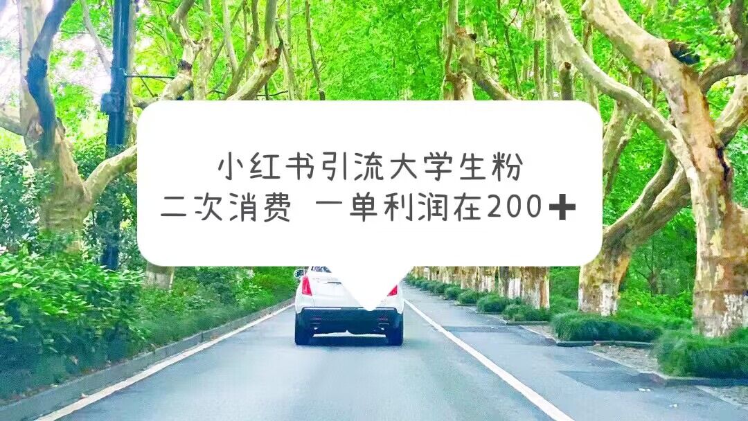【副业项目5937期】小红书引流大学生粉，变现项目，一单利润在200+（教程+资源）-易学副业