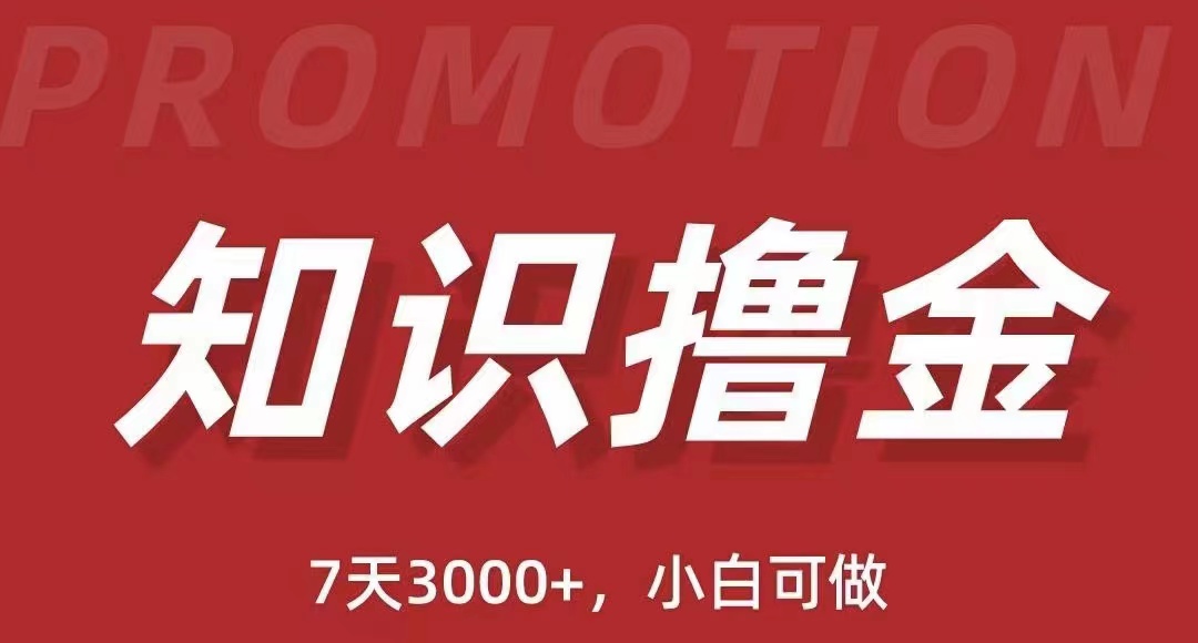 【副业项目5702期】抖音知识撸金项目：简单粗暴日入1000+执行力强当天见收益(教程+资料)-易学副业