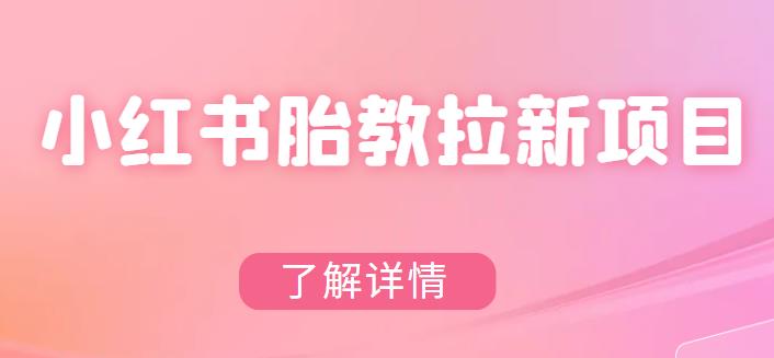 【副业项目6099期】小红书胎教网盘拉新项目，可在私域变现两次（作品制作教程+素材）-易学副业