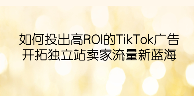 【副业项目6124期】如何投出高ROI·TikTok广告，开拓独立站卖家流量新蓝海-易学副业