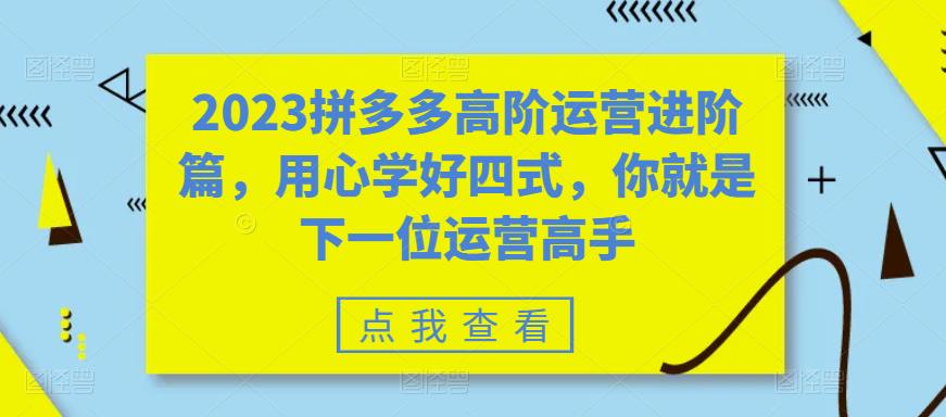 【副业项目6241期】2023拼多多高阶运营进阶篇，用心学好四式，你就是下一位运营高手-易学副业