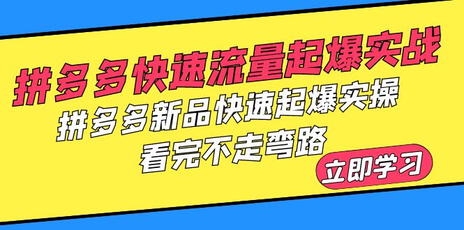 【副业项目6310期】拼多多-快速流量起爆实战，拼多多新品快速起爆实操，看完不走弯路-易学副业