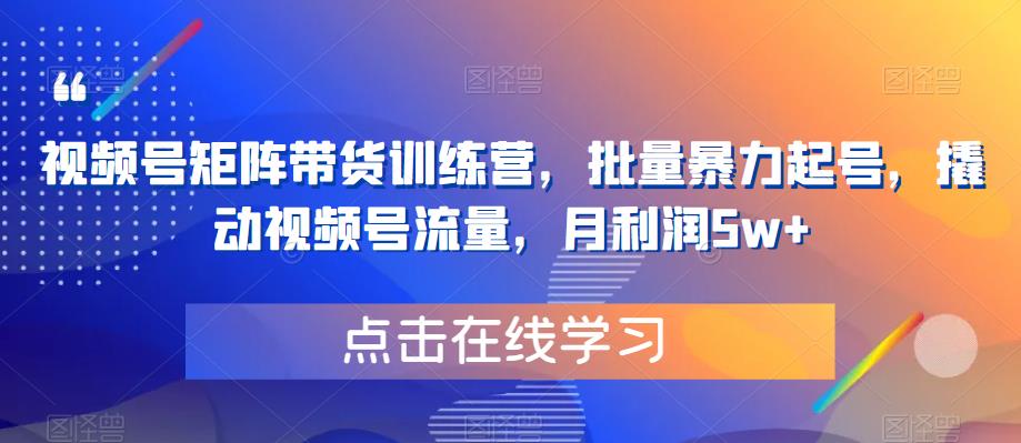 【副业项目6254期】视频号矩阵带货训练营，批量暴力起号，撬动视频号流量，月利润5w+-易学副业