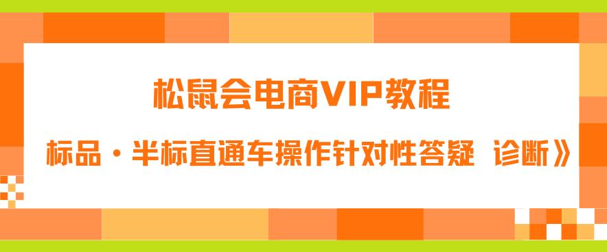 【副业项目6373期】松鼠会电商VIP教程：松鼠《付费推广标品·半标直通车操作针对性答疑&诊断》-易学副业