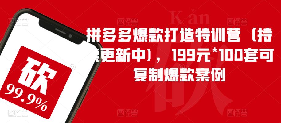 【副业项目6391期】拼多多爆款打造特训营（持续更新中)，199元*100套可复制爆款案例-易学副业