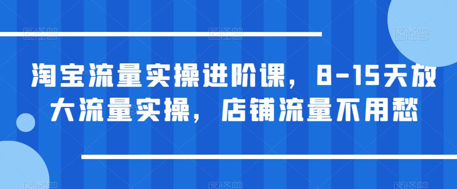 【副业项目6415期】淘宝流量实操进阶课，8-15天放大流量实操，店铺流量不用愁-易学副业