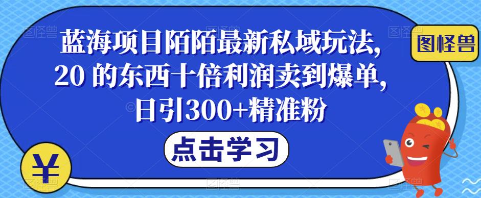 【副业项目6699期】蓝海项目陌陌最新私域玩法，20 的东西十倍利润卖到爆单，日引300+精准粉【揭秘】-易学副业