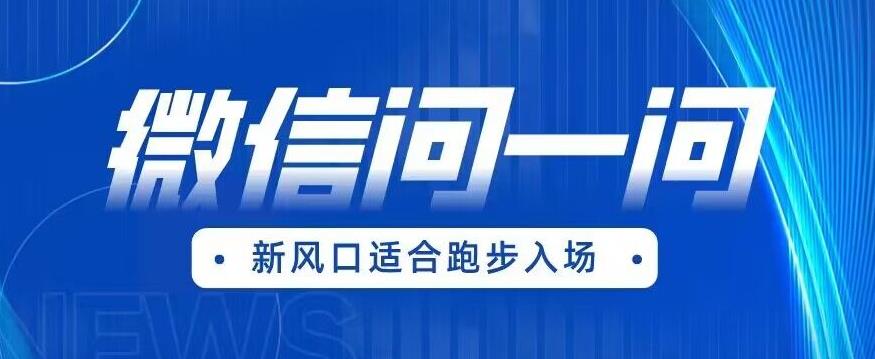 【副业项目6729期】全网首发微信问一问新风口变现项目（价值1999元）【揭秘】-易学副业