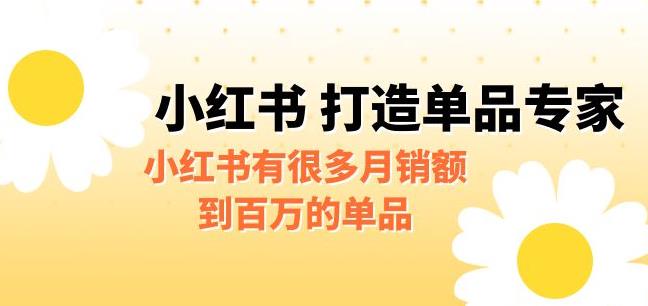 【副业项目6703期】某公众号付费文章《小红书打造单品专家》小红书有很多月销额到百万的单品-易学副业