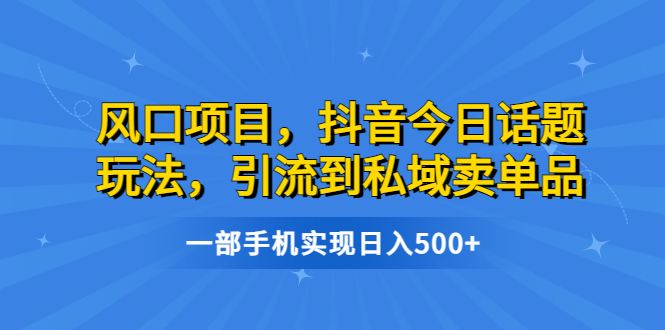 【副业项目6791期】风口项目，抖音今日话题玩法，引流到私域卖单品，一部手机实现日入500+-易学副业