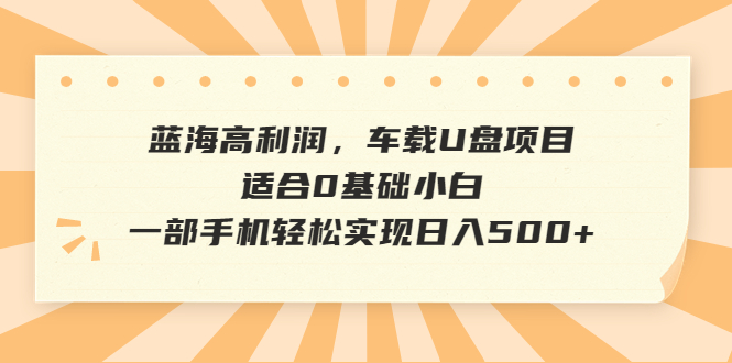 【副业项目6800期】蓝海高利润，车载U盘项目，适合0基础小白，一部手机轻松实现日入500+-易学副业