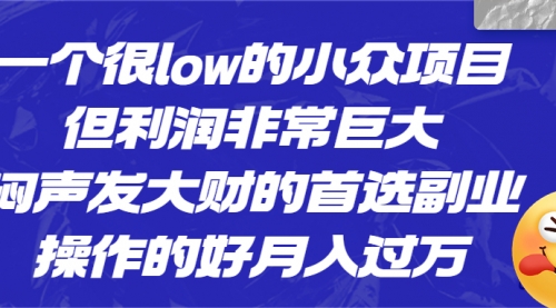 【副业项目6782期】一个很low的小众项目，但利润非常巨大，闷声发大财的首选副业，月入过万-易学副业