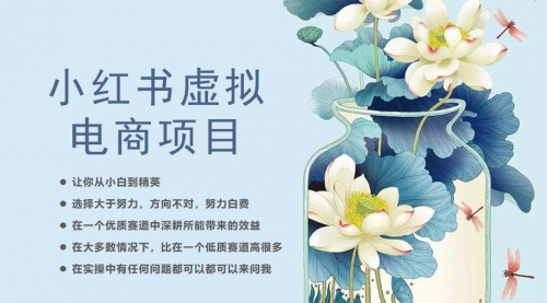 【副业项目6786期】小红书虚拟电商从0到1，让你从小白到精英（20节实操课程）-易学副业