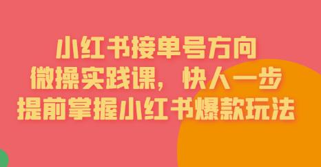 【副业项目6820期】接单号方向·小红书微操实践课，快人一步，提前掌握小红书爆款玩法-易学副业