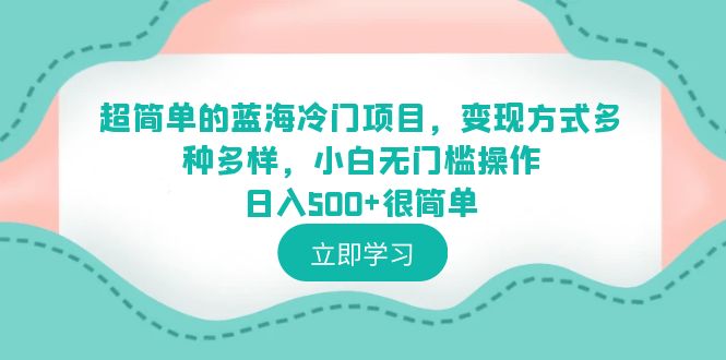 【副业项目6524期】超简单的蓝海冷门项目，变现方式多种多样，小白无门槛操作日入500+很简单-易学副业