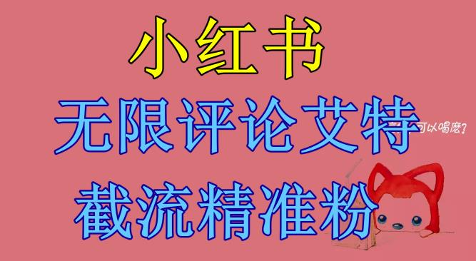【副业项目6846期】小红书无限评论艾特截流精准粉（软件+教程）-易学副业