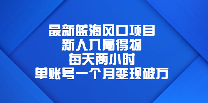 【副业项目6649期】最新蓝海风口项目，新人入局得物，每天两小时，单账号一个月变现破万-易学副业