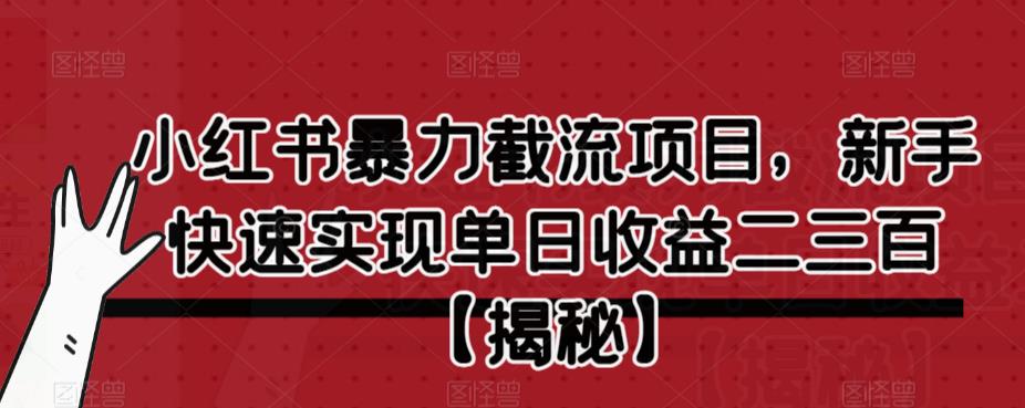 【副业项目6889期】小红书暴力截流项目，新手快速实现单日收益二三百【仅揭秘】-易学副业