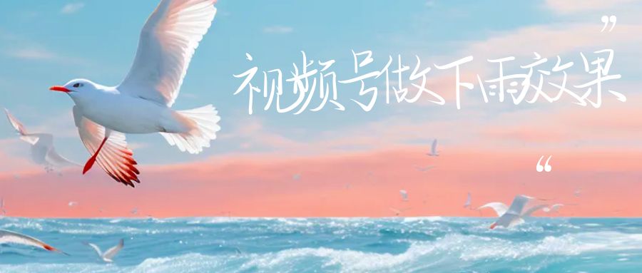 【副业项目6913期】视频号做下雨视频一个账号一周涨粉10W+年入100w-易学副业