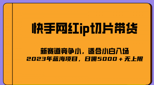 【副业项目7037期】2023爆火的快手网红IP切片，号称日佣5000＋的蓝海项目，二驴的独家授权-易学副业
