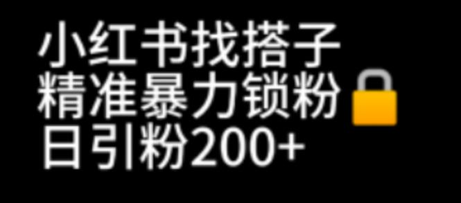 【副业项目7040期】小红书找搭子暴力精准锁粉+引流日引200+精准粉-易学副业