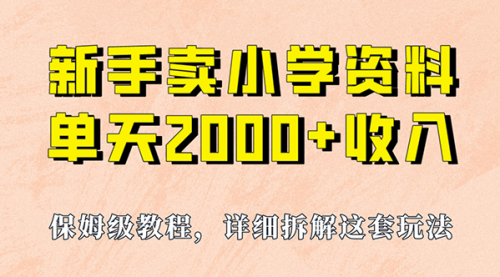 【副业项目7100期】卖小学资料，实现单天2000+，实操项目，保姆级教程+资料+工具-易学副业