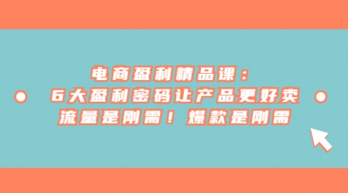 【副业项目7132期】电商盈利精品课：6大盈利，密码让产品更好卖，流量是刚需-易学副业