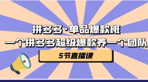 【副业项目第7171期】拼多多·单品爆款班，一个拼多多超级爆款养一个团队-易学副业