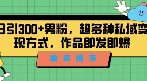 【副业项目7191期】独家推荐！日引300+男粉，超多种私域变现方式-易学副业