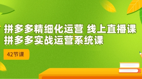 【副业项目7292期】2023年新课-拼多多精细化运营-易学副业
