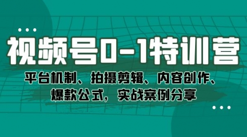 【副业项目7596期】视频号0-1特训营：平台机制、拍摄剪辑、内容创作、爆款公式，实战案例分享-易学副业