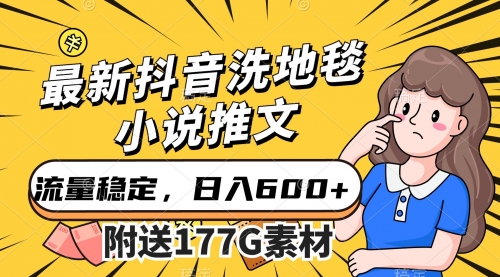 【副业项目7638期】最新抖音洗地毯小说推文，流量稳定，一天收入600（附177G素材）-易学副业