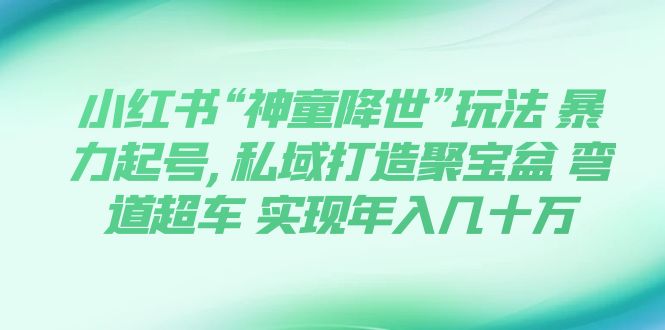 【副业项目7983期】小红书“神童降世”玩法 暴力起号,私域打造聚宝盆-易学副业