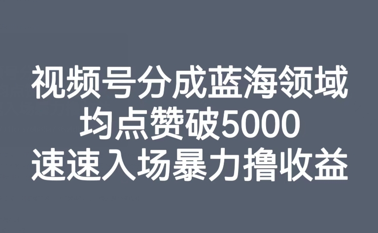 【副业项目8023期】视频号分成蓝海领域，均点赞破5000，速速入场暴力撸收益-易学副业