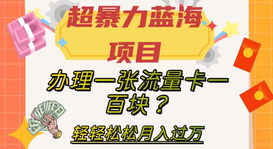 【副业项目8024期】超暴力蓝海项目，办理一张流量卡一百块？轻轻松松月入过万，保姆级教程【揭秘】-易学副业