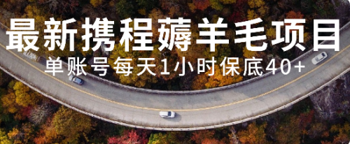 【副业项目8232期】最新携程薅羊毛项目，单账号每天1小时保底收益40+，可矩阵操作-易学副业