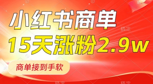 【副业项目8480期】小红书商单最新玩法，新号15天2.9w粉，接单到手软-易学副业