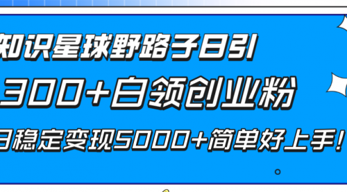 【副业项目8492期】知识星球野路子日引300+白领创业粉-易学副业
