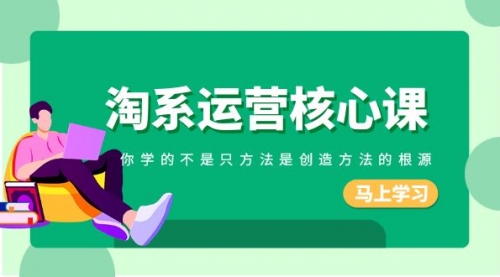 【副业项目8556期】淘系-运营核心课，你学的不是只方法是创造方法的根源-易学副业