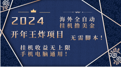 【副业项目8620期】2024海外撸美金项目！手机电脑均可-易学副业