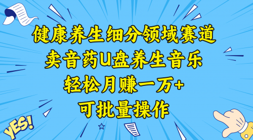 【副业项目8638期】健康养生细分领域赛道，卖音药U盘养生音乐，轻松月赚一万+，可批量操作-易学副业