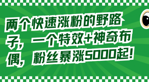 【副业8723期】两个快速涨粉的野路子，一个特效+神奇布偶，粉丝暴涨5000起！-易学副业