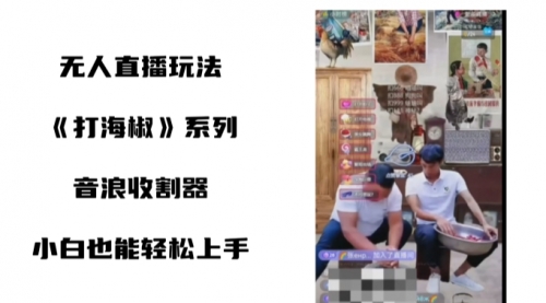 【副业8766期】打海椒无人直播整蛊项目，小白轻松上手撸音浪收割器（教程+工具+素材）-易学副业
