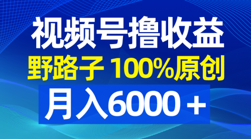 【副业8771期】视频号野路子撸收益，100%原创，条条爆款，月入6000＋-易学副业