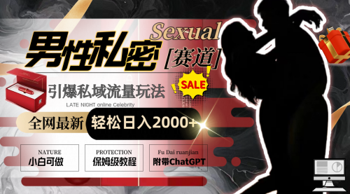 【副业8789期】全网最新男性私密赛道玩法，引爆私域流量，轻松日入2000+-易学副业