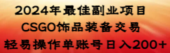 【副业8982期】2024年最佳副业项目 CSGO饰品装备交易 轻易操作单账号日入200+-易学副业