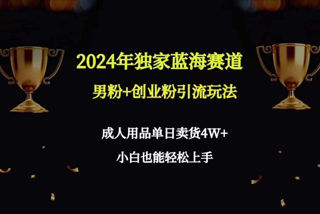 2024年独家蓝海赛道男粉+创业粉引流玩法，成人用品单日卖货4W+保姆教程-易学副业
