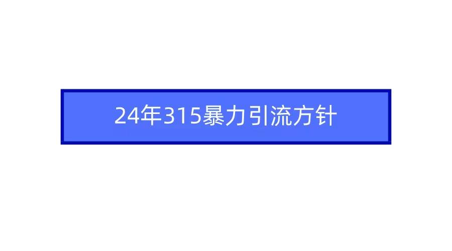 2024年315暴力引流方针-易学副业