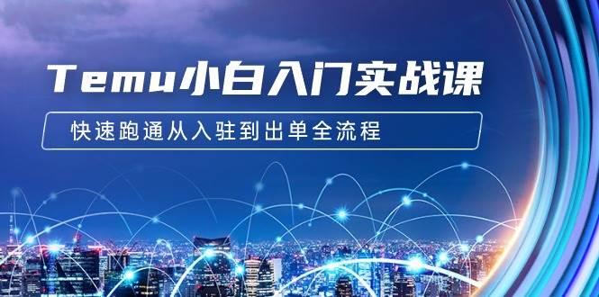 Temu小白入门实战课：跨境拼多多电商培训 快速跑通从入驻到出单全流程-12节-易学副业