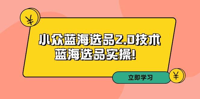 拼多多培训第33期：小众蓝海选品2.0技术-蓝海选品实操！-易学副业